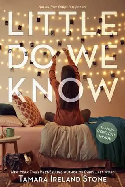 Little Do We Know by Tamara Ireland Stone