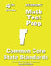 Vermont 4th Grade Math Test Prep: Common Core Learning Standards by Teachers' Treasures