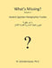 What's Missing?: Ancient Egyptian Hieroglyphics Puzzles by M. Schottenbauer