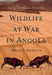 Wildlife at War in Angola: The Rise and Fall of an African Eden by Brian J. Huntley
