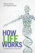 How Life Works: The Inside Word from a Biochemist by Daphne Elliott, William Elliott