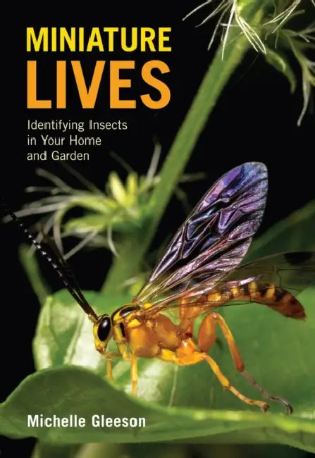 Miniature Lives: Identifying Insects in Your Home and Garden by Michelle Gleeson