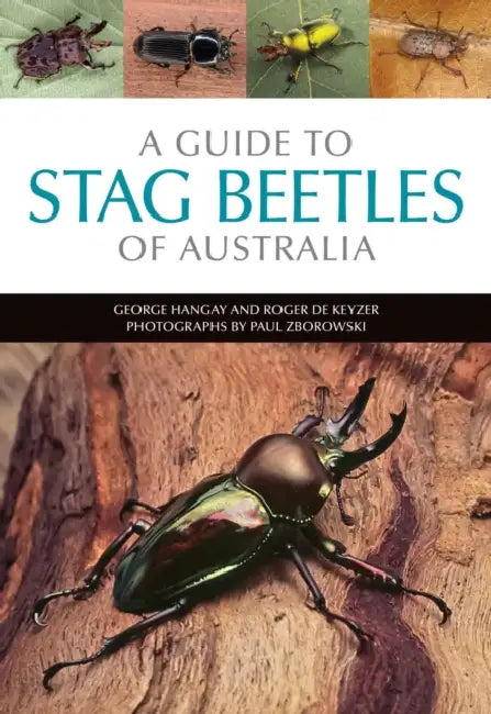 A Guide to Stag Beetles of Australia by George Hangay, Roger de Keyzer, Paul Zborowski