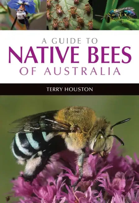 A Guide to Native Bees of Australia by Terry Houston