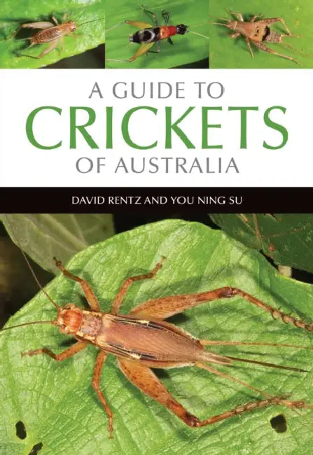 A Guide to Crickets of Australia by David Rentz, You Ning Su