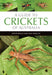 A Guide to Crickets of Australia by David Rentz, You Ning Su