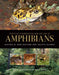 Status of Conservation and Decline of Amphibians: Australia, New Zealand, and Pacific Islands by Harold Heatwole, Jodi J. L. Rowley