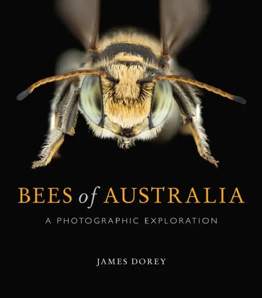 Bees of Australia: A Photographic Exploration by James Dorey