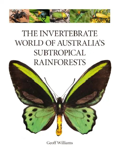 The Invertebrate World of Australia's Subtropical Rainforests by Geoff Williams