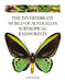The Invertebrate World of Australia's Subtropical Rainforests by Geoff Williams