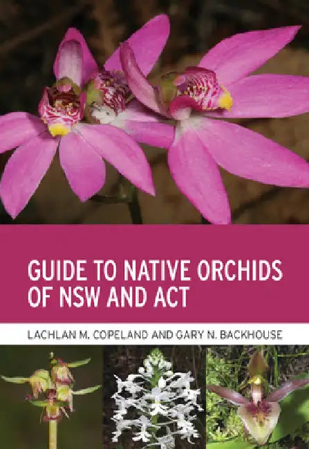 Guide to Native Orchids of Nsw and ACT by Lachlan M. Copeland