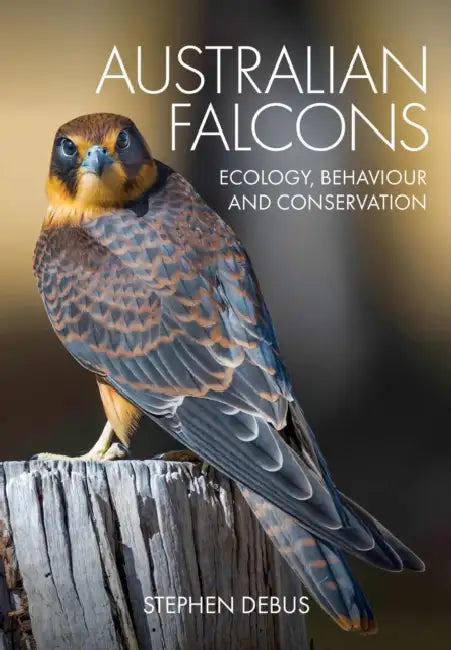 Australian Falcons: Ecology, Behaviour and Conservation by Stephen Debus