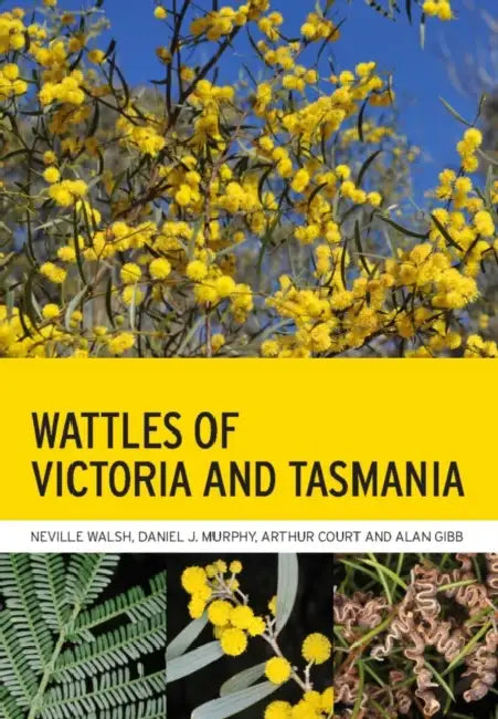 Wattles of Victoria and Tasmania by Neville Walsh, Daniel J. Murphy, Arthur Bertram Court