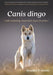 Canis dingo: Understanding Australia's Apex Predator by Bradley P. Smith