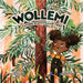 Wollemi: Saving a Dinosaur Tree by Samantha Tidy, Rachel Gyan