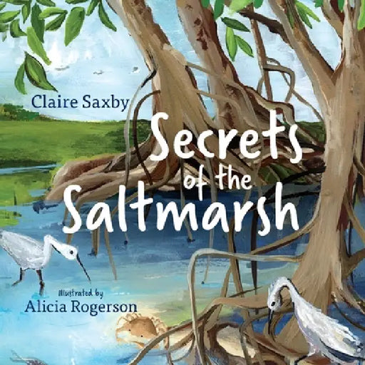 Secrets of the Saltmarsh by Claire Saxby, Alicia Rogerson