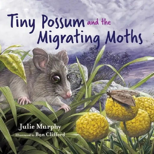 Tiny Possum and the Migrating Moths by Julie Murphy, Ben Clifford