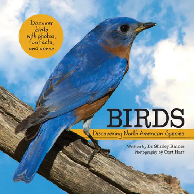 Birds: Discovering North American Species by Shirley Raines, Curt Hart