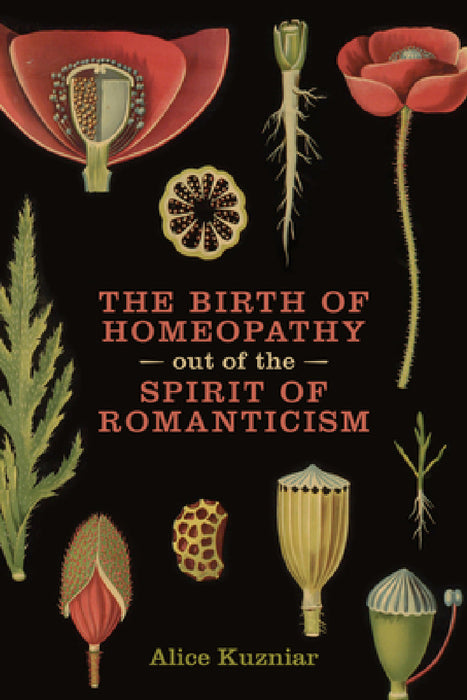 The Birth of Homeopathy out of the Spirit of Romanticism by Alice Ann Kuzniar