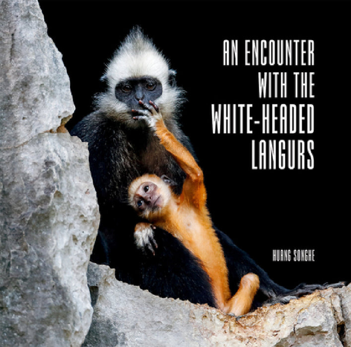An Encounter with the White-Headed Langurs by Songhe Huang