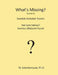 What's Missing?: Swedish Alphabet Puzzles by M. Schottenbauer