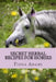 Secret Herbal Recipes for Horses by Fiona Adams