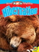 Hibernation by Pamela McDowell