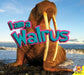 I Am a Walrus by Samantha Nugent