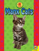 Manx Cats by Tammy Gagne