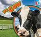 My Cow by Candice Letkeman