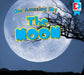 The Moon by Sara Cucini, Katie Gillespie