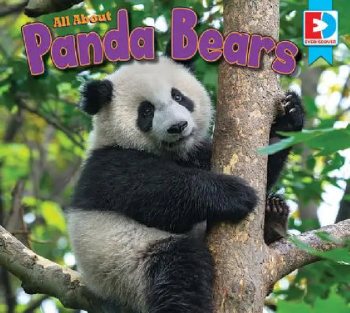 All about Pandas by Candice Letkeman