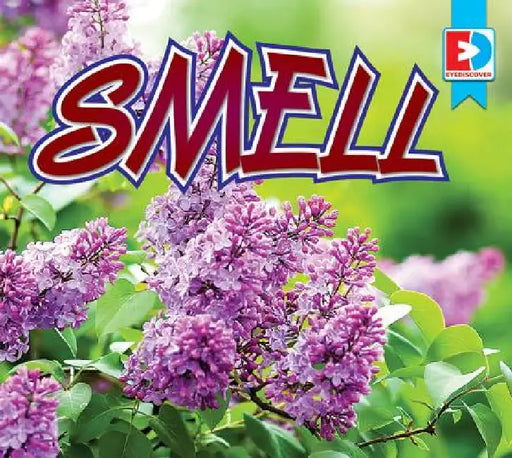 Smell by Sara Cucini, Katie Gillespie