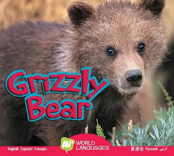 Grizzly Bear by Karen Durrie