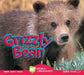 Grizzly Bear by Karen Durrie