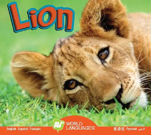 Lion by Karen Durrie
