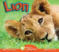 Lion by Karen Durrie