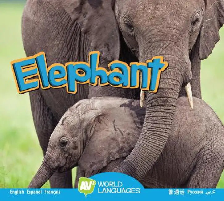 Elephant by Aaron Carr