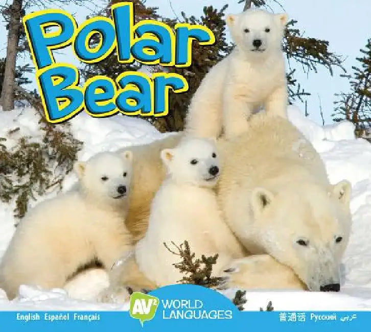 Polar Bear by Steve MacLeod