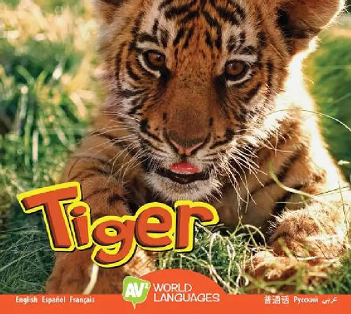 Tiger by Steve MacLeod