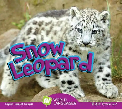 Snow Leopard by Aaron Carr