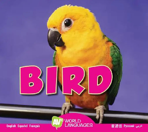 Bird by Aaron Carr