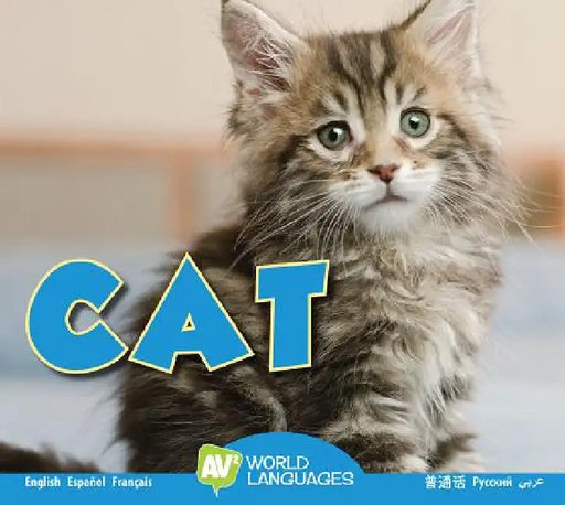 Cat by Aaron Carr