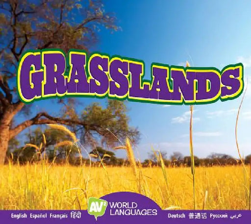 Grasslands by Alexis Roumanis