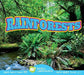 Rainforests by Alexis Roumanis