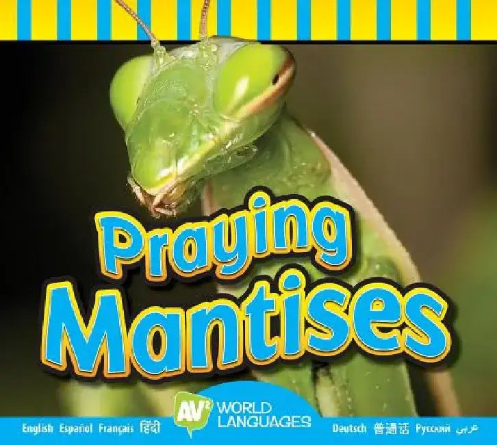 Praying Mantises by Aaron Carr
