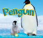 Penguin by Karen Durrie