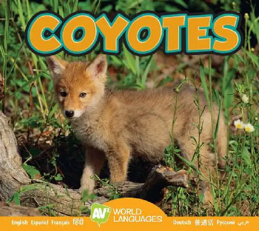 Coyotes by Jordan McGill