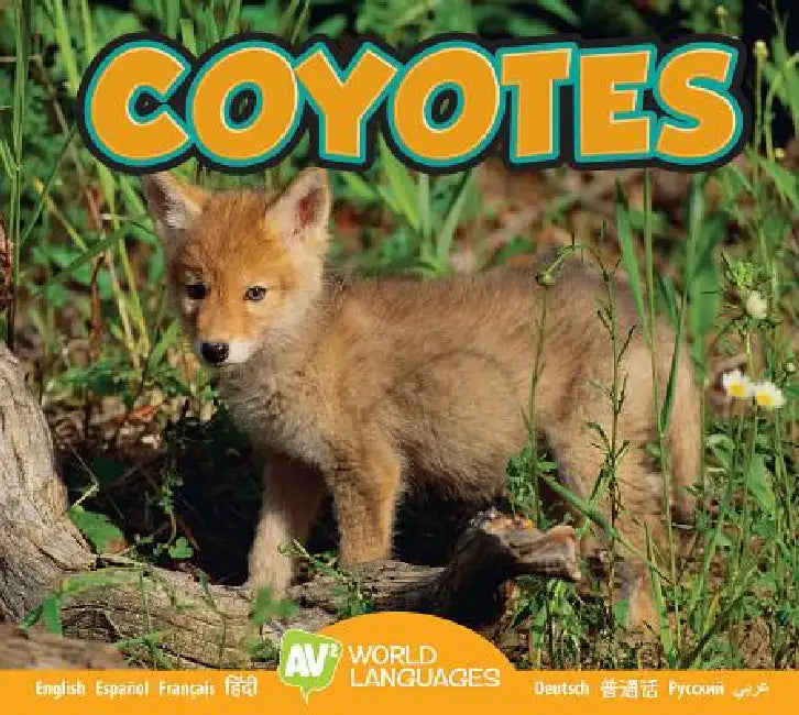 Coyotes by Jordan McGill