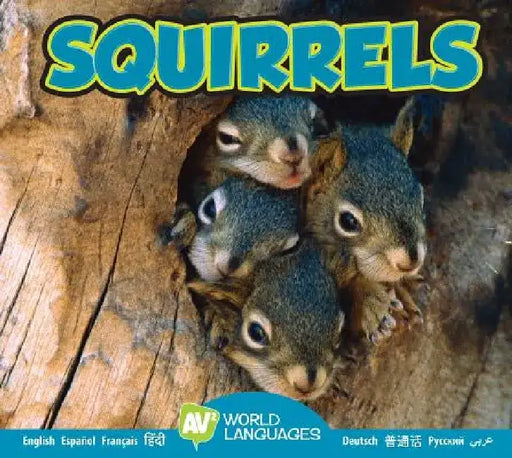 Squirrels by Jordan McGill
